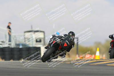 media/Mar-01-2025-Race Pace (Sat) [[ebf7b6e548]]/17-Vested (Turn 16) 210pm/